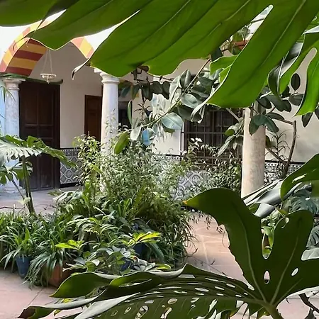 Patio De La Corredera