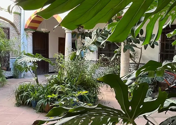 Patio De La Corredera