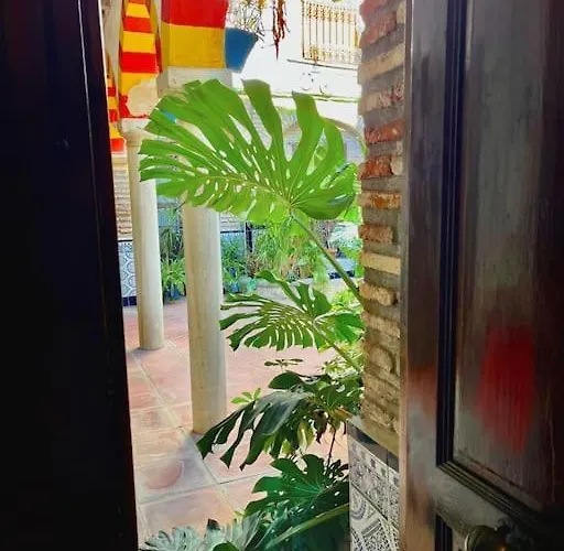 Patio De La Corredera *