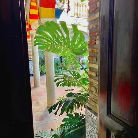 Patio De La Corredera *